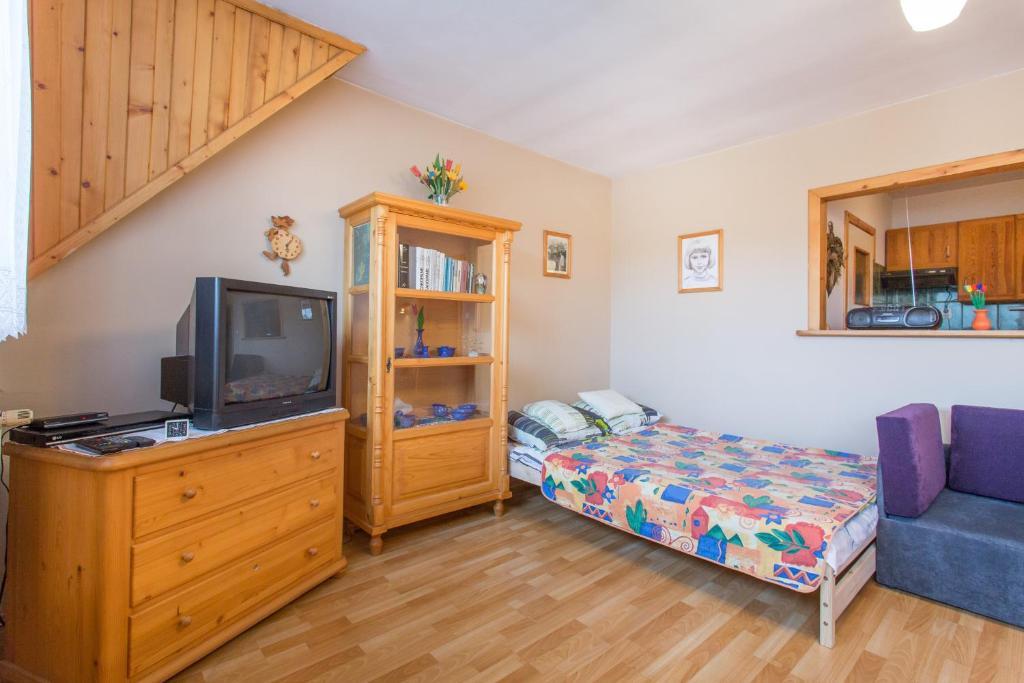 זקופאנה Apartament Nowotarski חדר תמונה